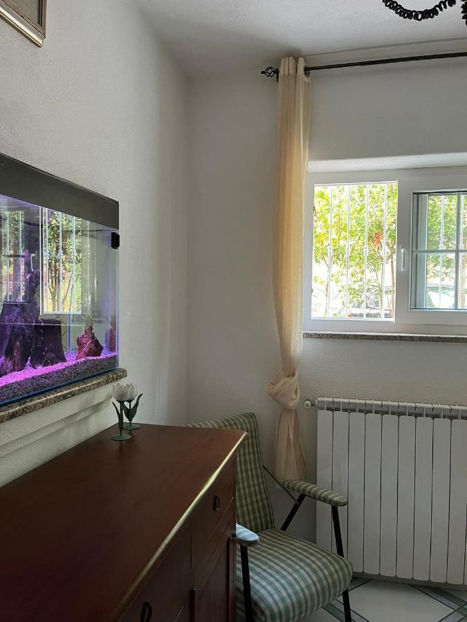 Casa Impagliazzo Bed & Breakfast Forio  Exterior photo